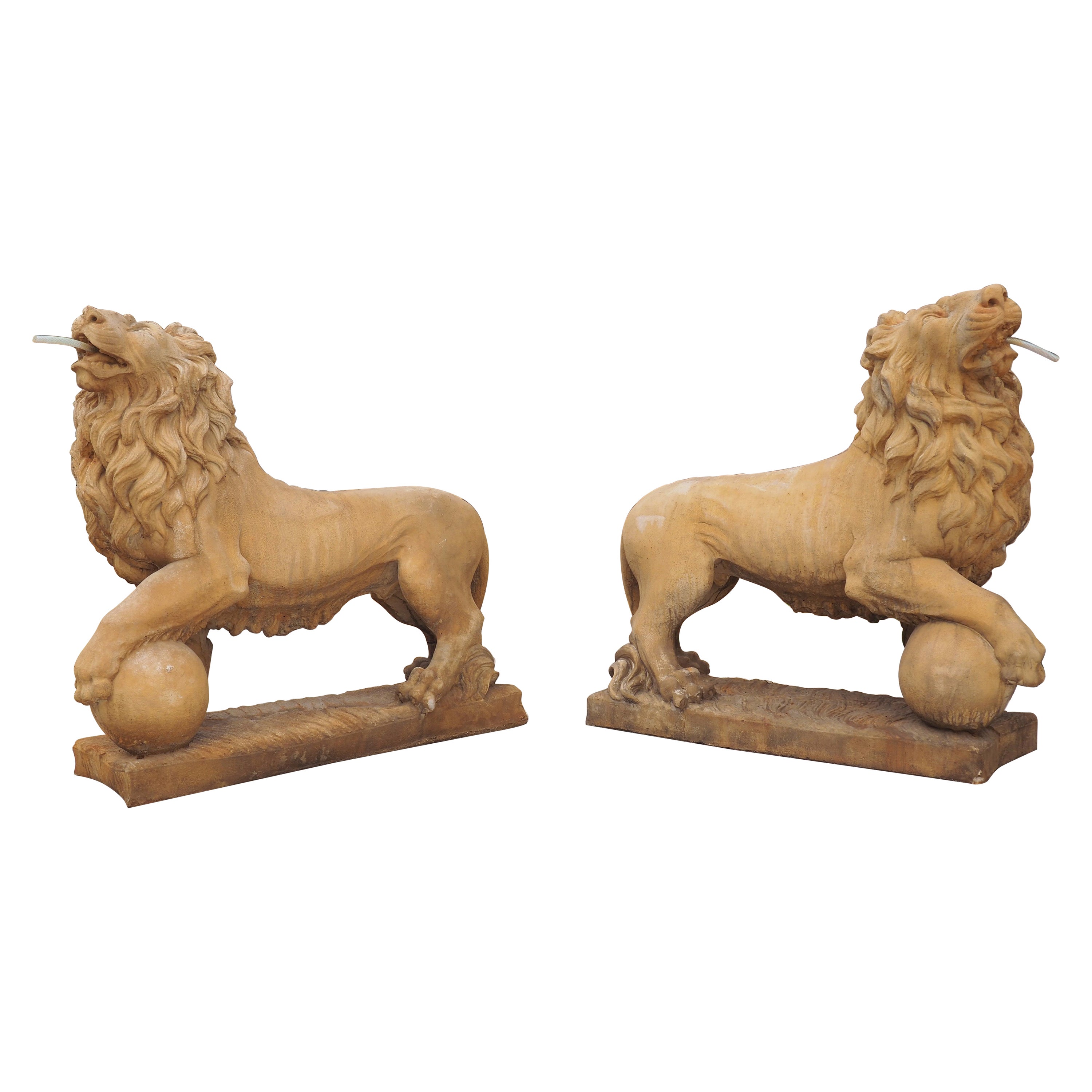 Pair of Large Cast Medici Lion Statues or Fountain Elements from France