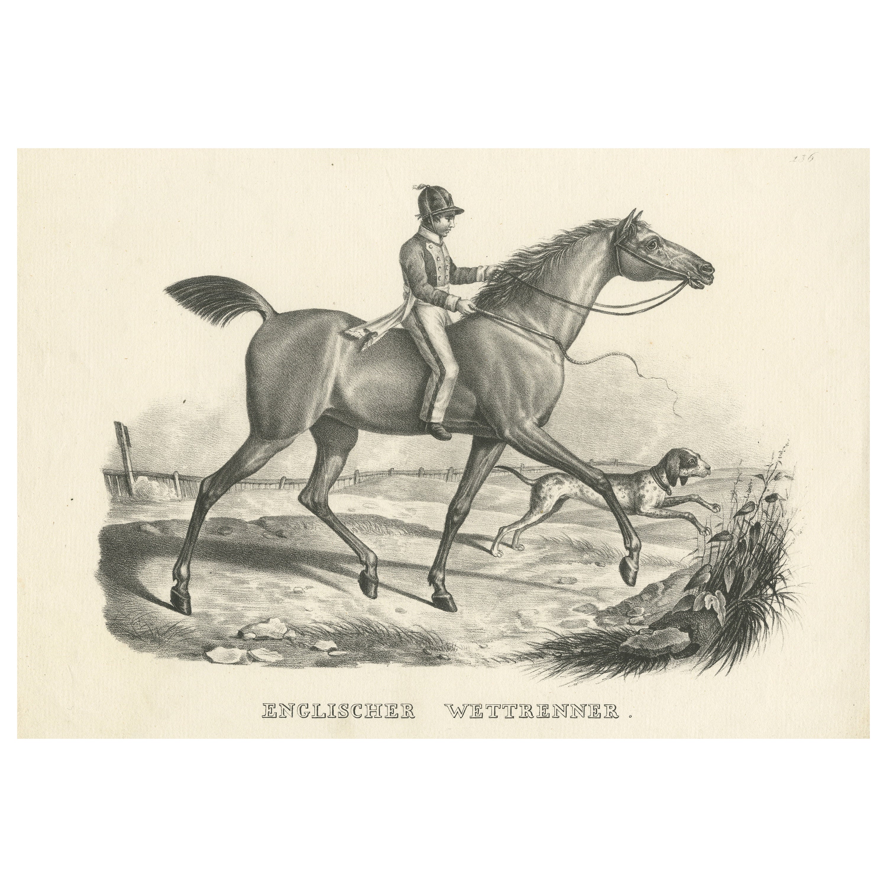 Antique Print of an English Horse For Sale