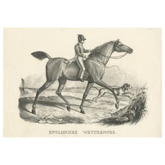 Antique Print of an English Horse