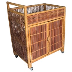 Vintage Palm Beach Wrapped Wicker Reed Rattan Bar Cart with Shelves & Doors