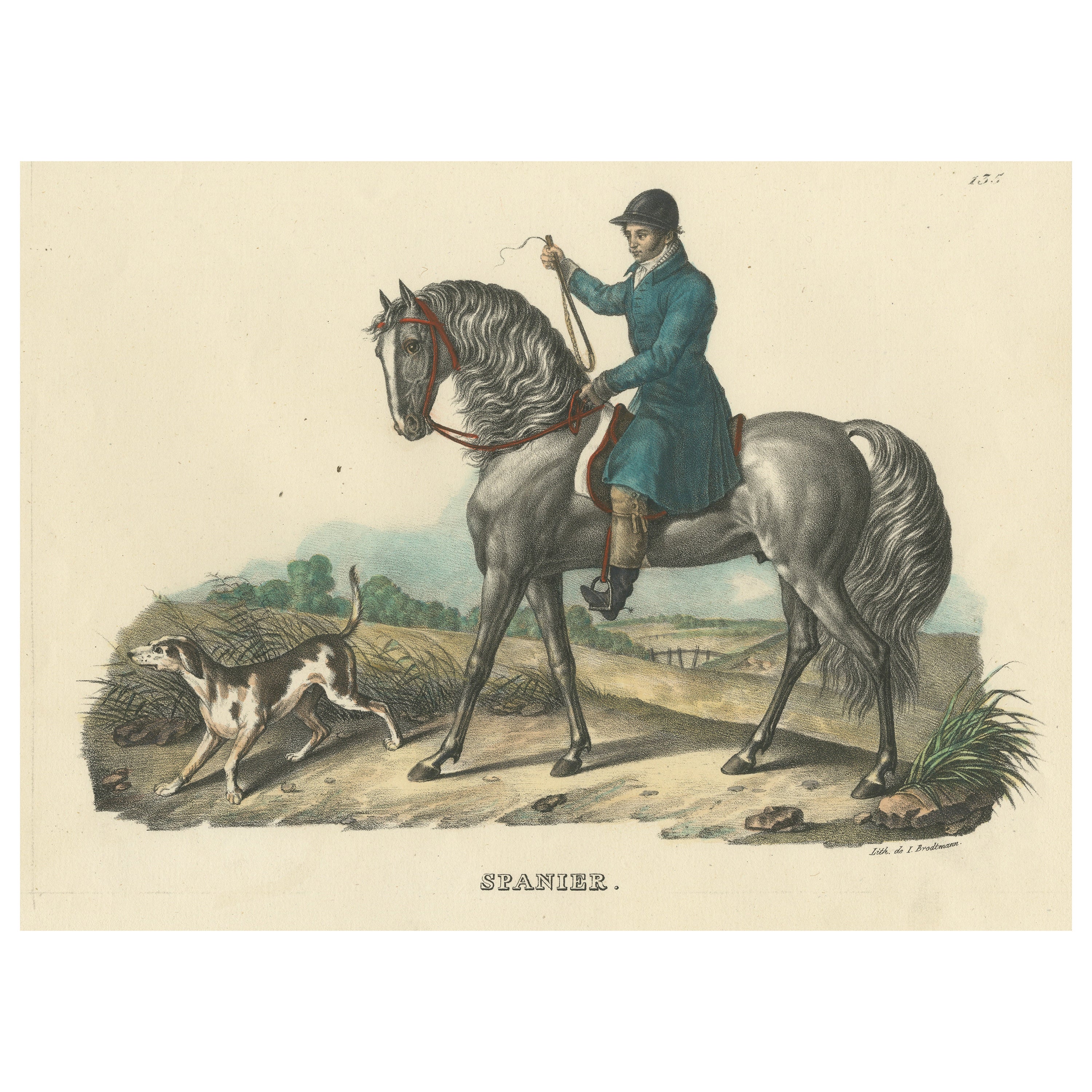 Antique Print of a Spanish Horse For Sale