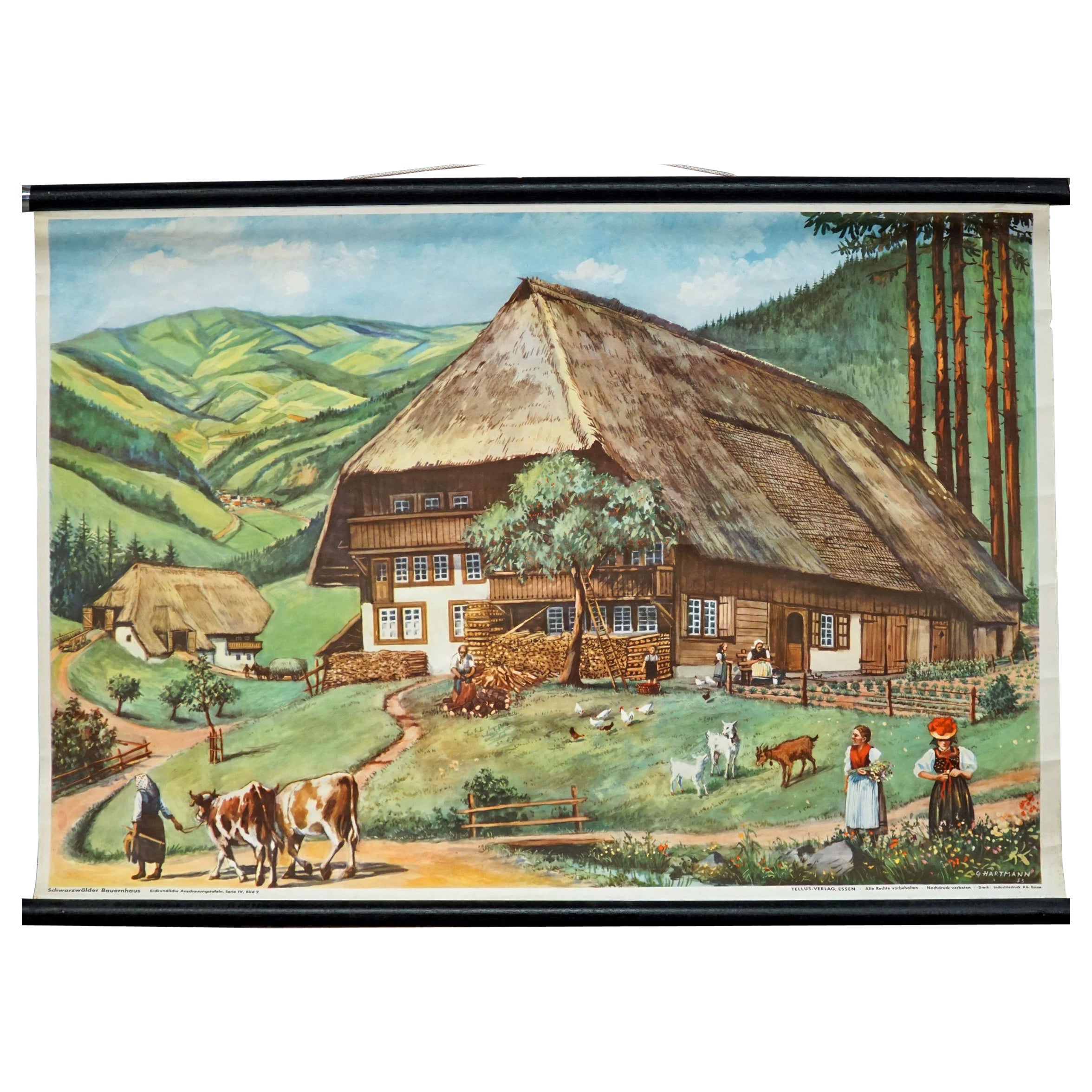 Cottagecore Mural Black Forest Farming House Vintage Rollable WallChart  For Sale