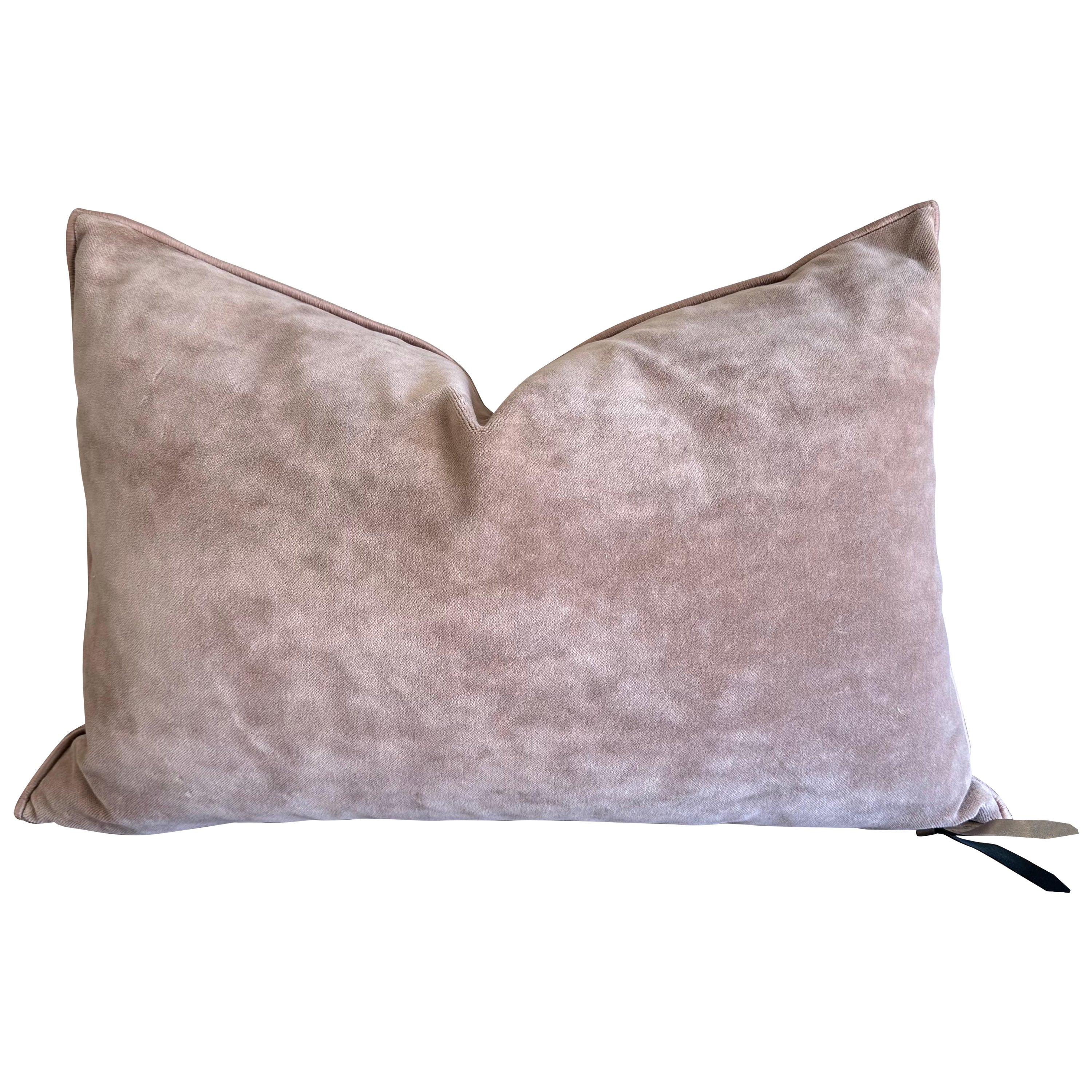 European Vintage Style Blush Velvet Accent Pillow with Down Insert For Sale