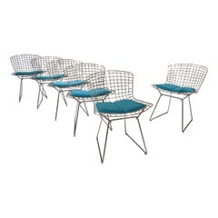 Set of 6 Bertoia Chairs for Knoll