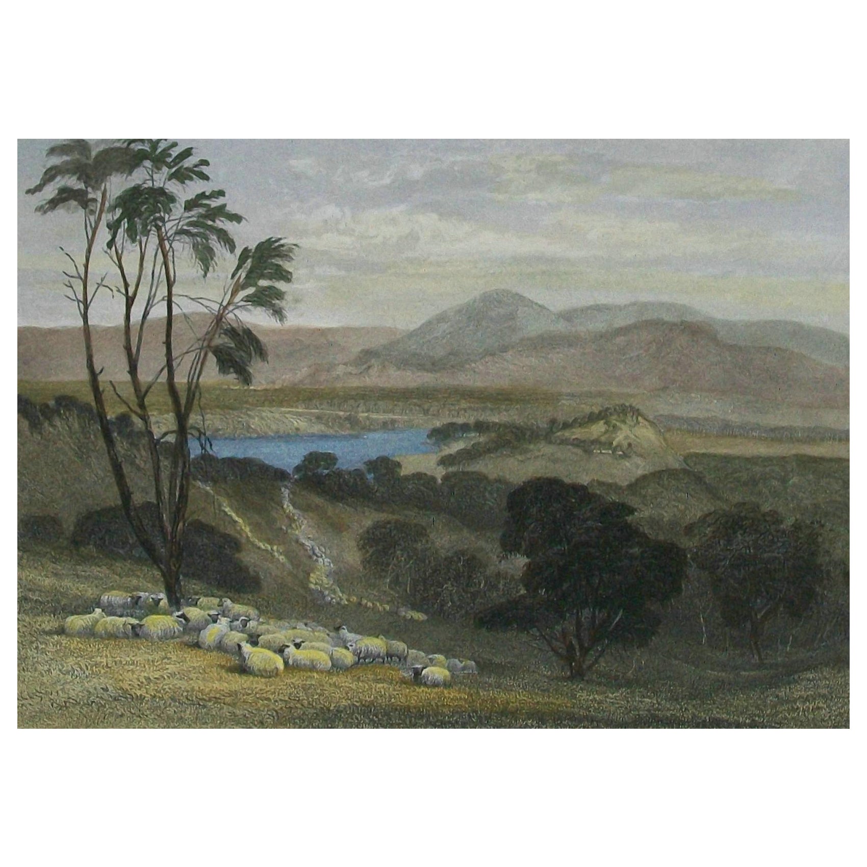 J S PROUT - „The Upper Goulburn, Victoria“ - Handkolorierte Gravur - U K - 1874 im Angebot