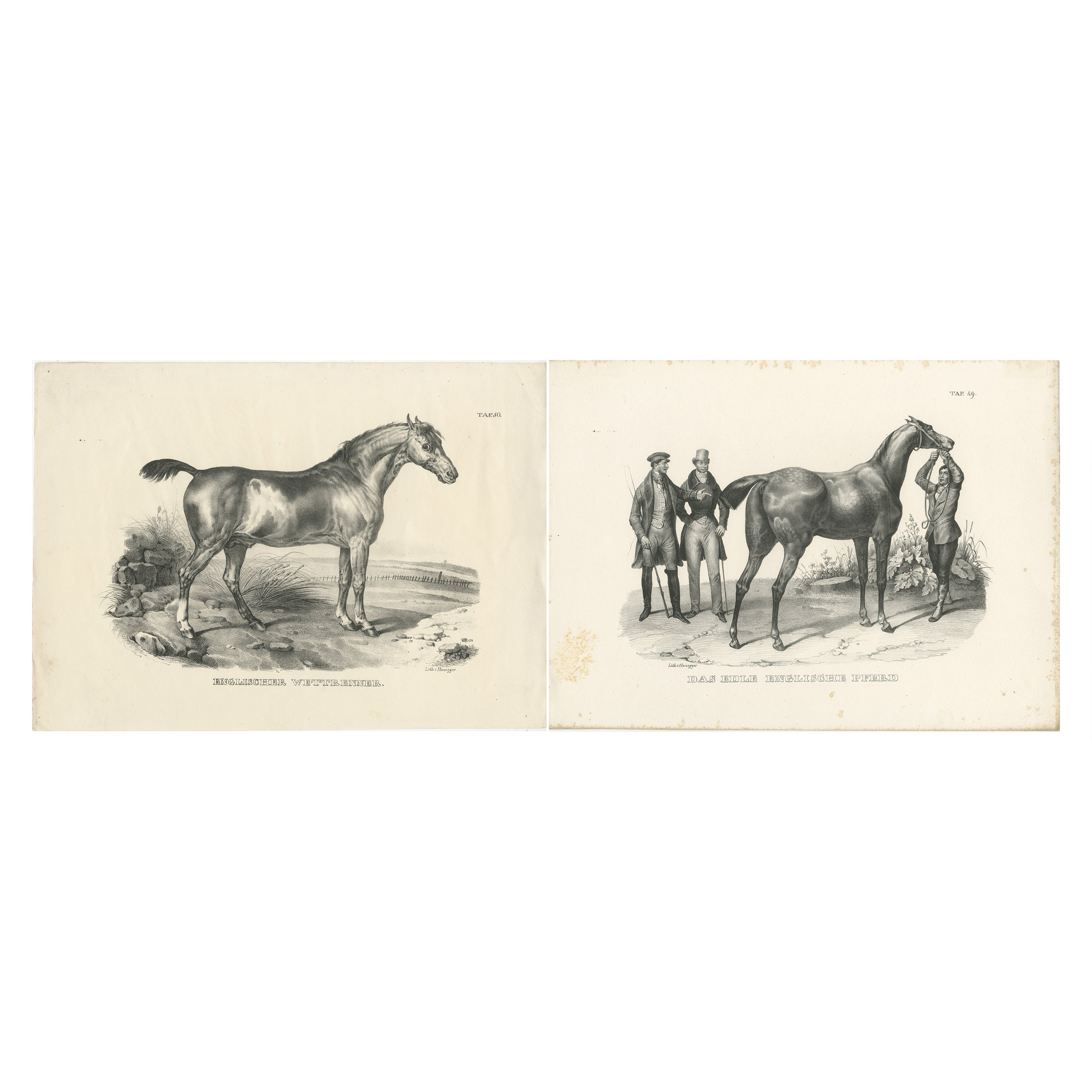 Set of 2 Original Antique Prints of English Horses For Sale