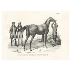 Impression originale et ancienne d'un cheval anglais
