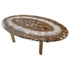 Vintage Oval Onyx Coffee Table, Mid-Century Modern, Brass