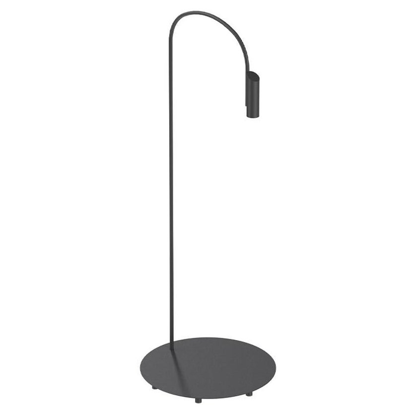 Flos Caule 2700K Model 3 Outdoor Floor Lamp in Black with Regular Shade