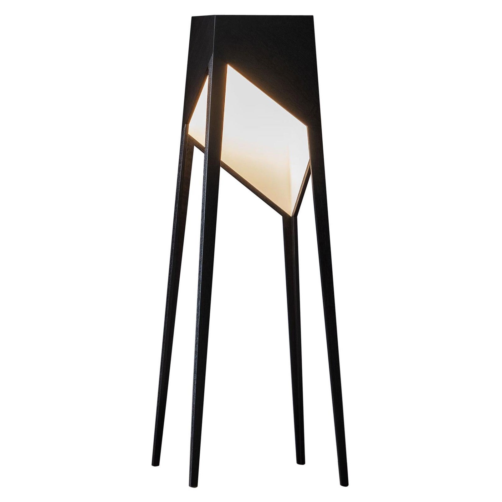 Black Oak Luise Floor Lamp by Matthias Scherzinger