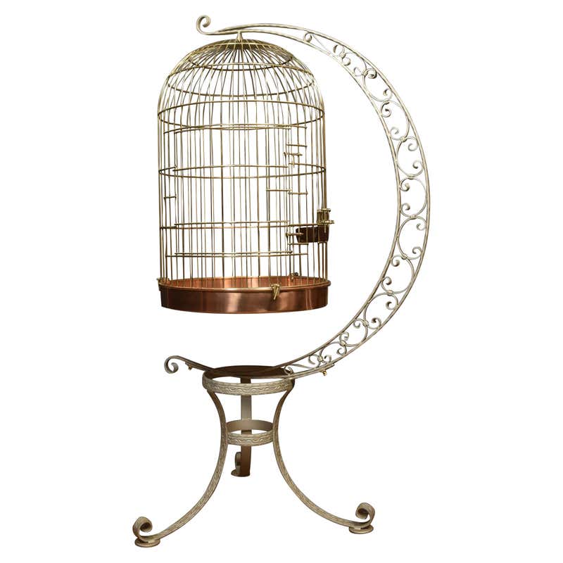 Beautiful view of Stylish Bird Cages For Sale Australia