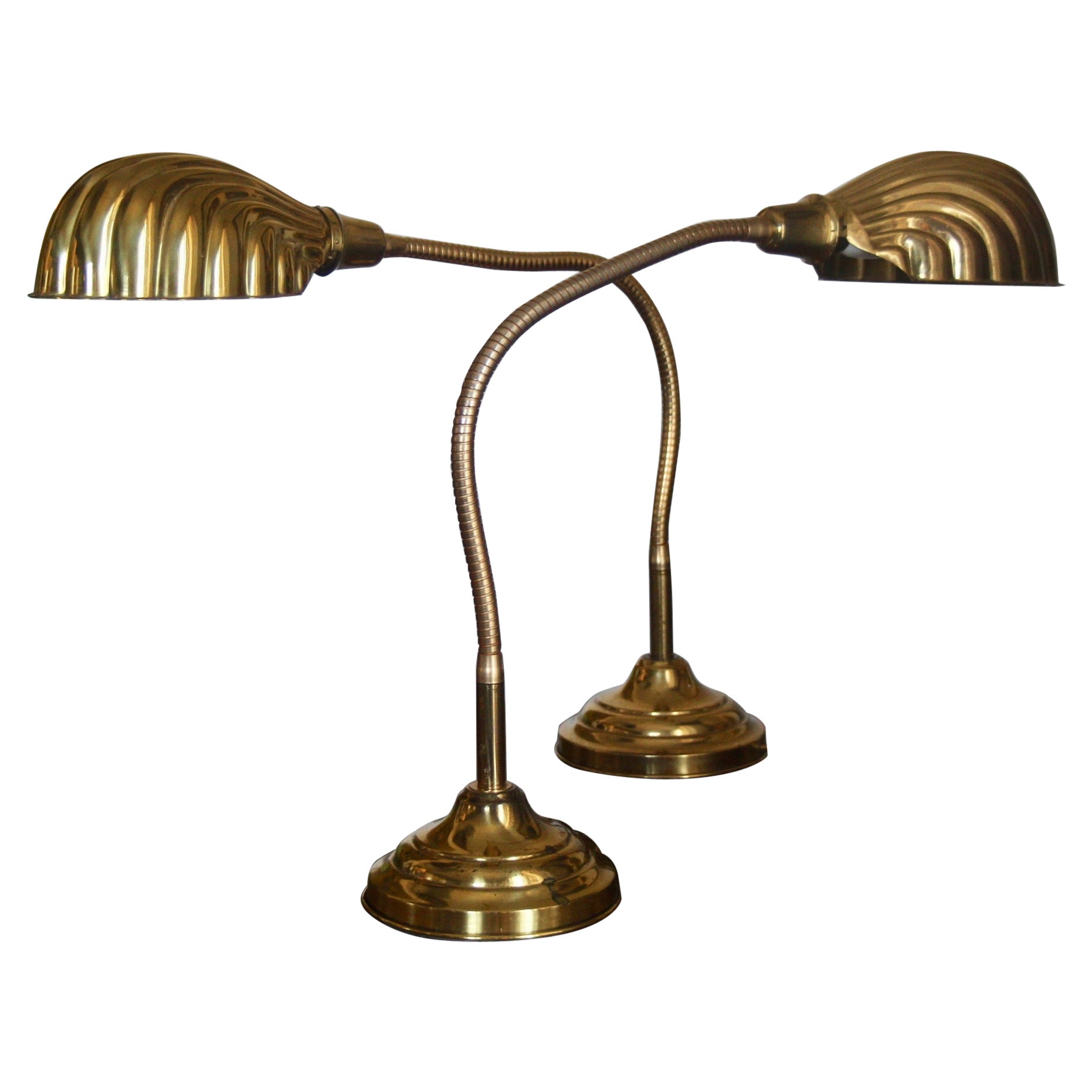 Shell Pair of Table Lamp Gooseneck Lamp, Desk Brass 