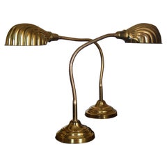 Vintage Shell Pair of Table Lamp Gooseneck Lamp, Desk Brass 