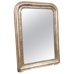 19th Century Silverleaf Louis Philippe Mirror from France