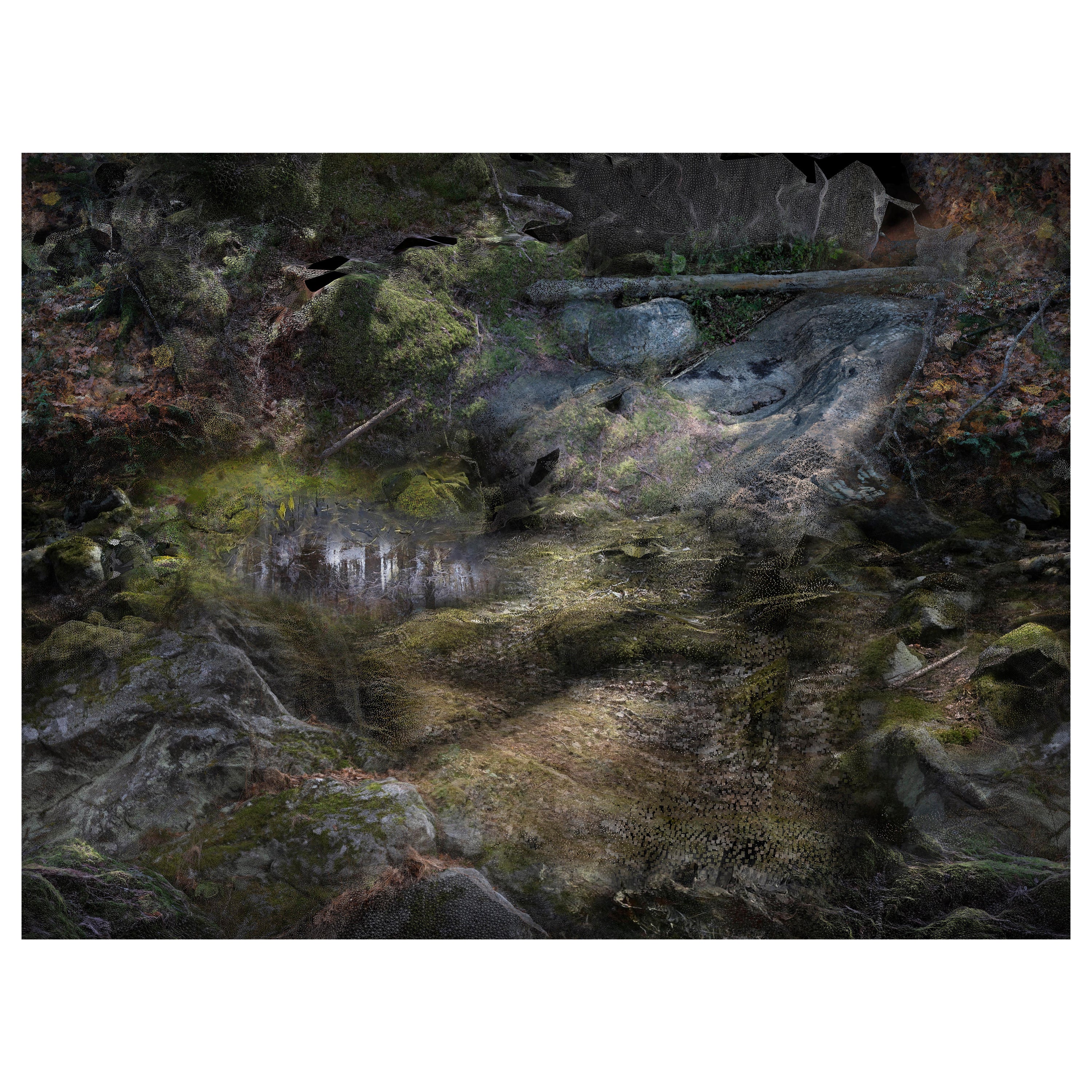 Moooi Kleiner Forest Floors Landscape Teppich aus weichem Garn Polyamide
