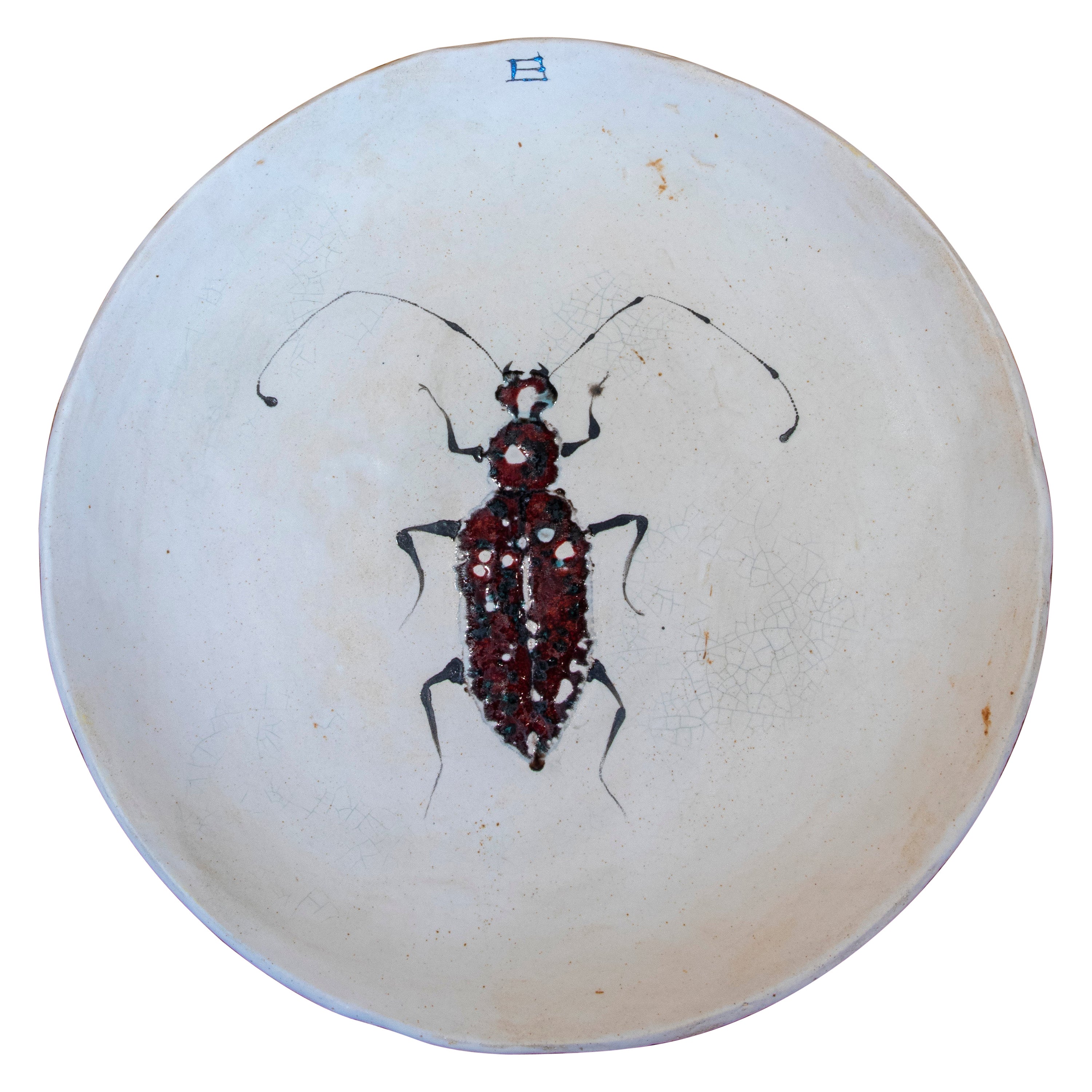 Big Round Plate in hand painted Ceramic with Insect