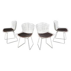 Italian Modern Steel and Leather Chairs 704 by Harry Bertoia for Alivar, 1980s