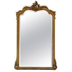 Large Louis XV Rocaille Style Mirror in Wood and Golden Stucco