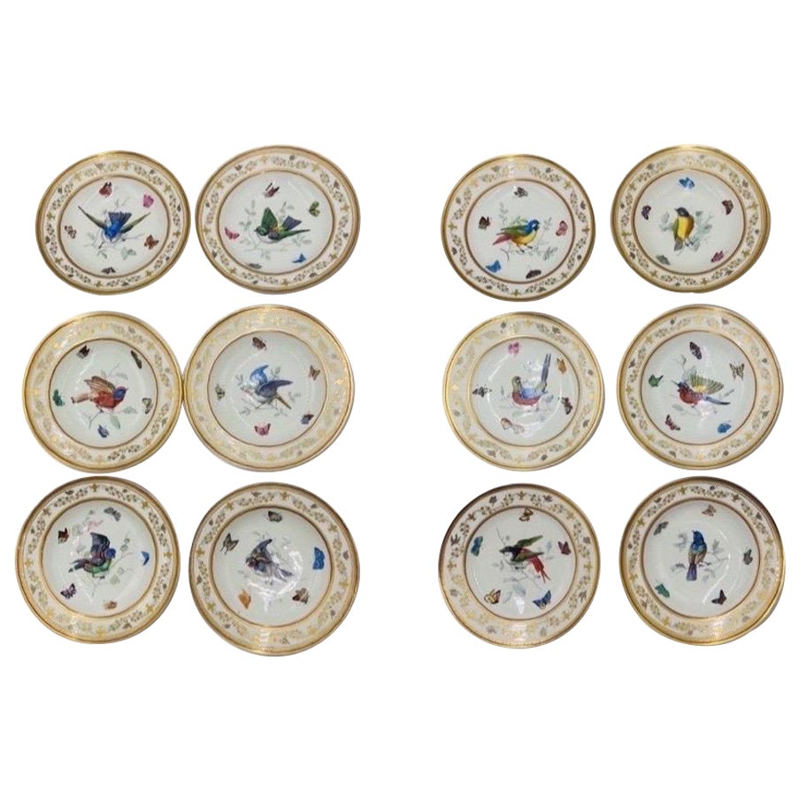 Set of 12, Antique Royal Vienna Neoclassical Ornithological Porcelain Plates   For Sale