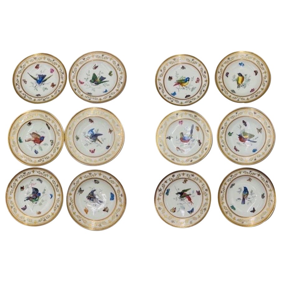 Juego de 12, Platos antiguos de porcelana neoclásica ornitológica Royal Vienna Porcelain en venta