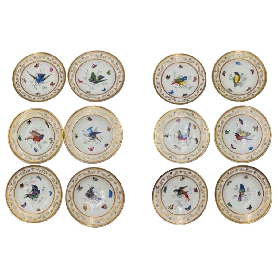 Set of 12, Antique Royal Vienna Neoclassical Ornithological Porcelain Plates  