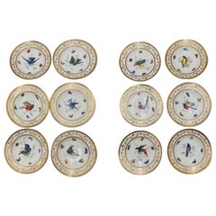 Set of 12, Antique Royal Vienna Neoclassical Ornithological Porcelain Plates  