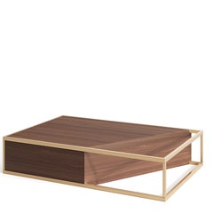 Minimalist Rectangular Center Coffee Table in Walnut Wood and Brushed Brass