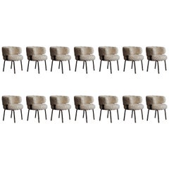 Retro Gianni Moscatelli Dining Chairs for Formanova, 1968, Set of 14