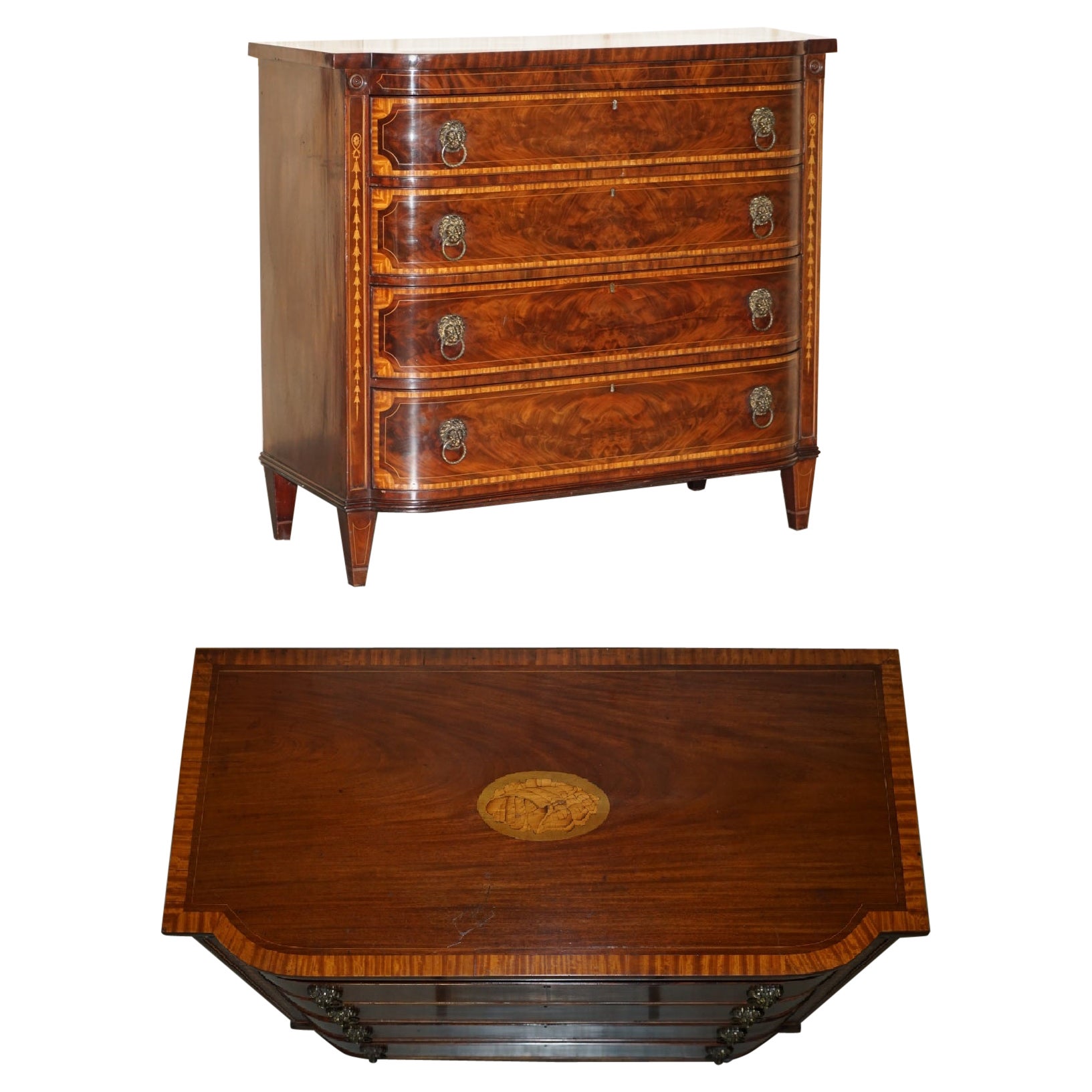 Importante cassettiera Sheraton datata 1859 in legno duro fiammato con maniglia a testa di leone