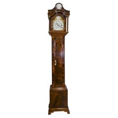 Antique Edwardian Walnut Weight Driven Grandmother Clock