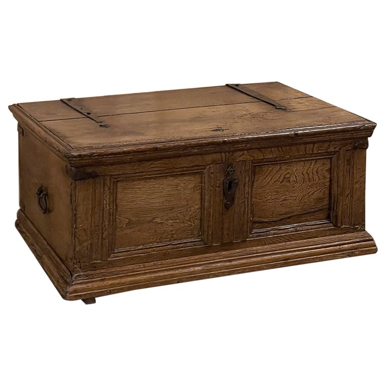 18th Century Rustic Dutch Trunk ~ Coffee Table For Sale at 1stDibs