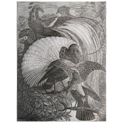 Original Antique Print of Birds of Paradise, 1833