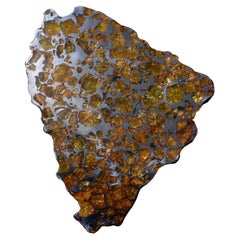 End-Cut from the Imilac Meteorite
