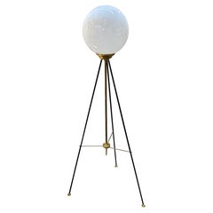 Murano Glass and Brass Globe Floor Lamp