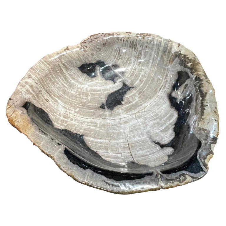 Cream, Black and Taupe freeform Petrified Wood Bowl, Indonesia