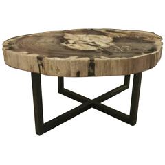 Petrified Wood Extra Large, Extra Thick Coffee Table, Indonesia, Contemporary