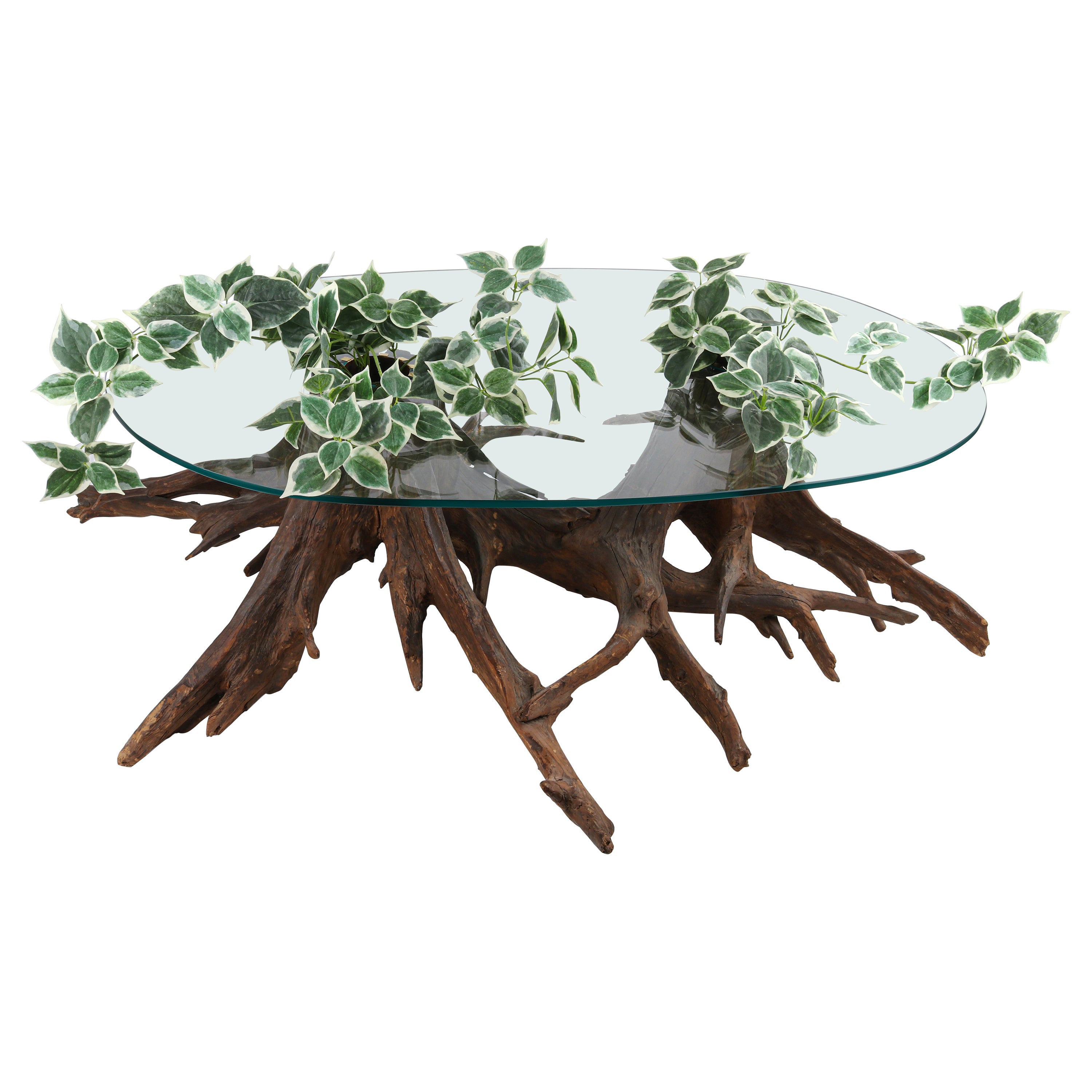 Mid-Century Modern Sculptural Driftwood Glass Planter Insert Coffee Center Table For Sale