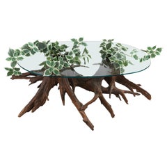 Mid-Century Modern Sculptural Driftwood Glass Planter Insert Coffee Center Table