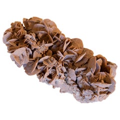 Formazione di cristalli di selenite "Rosa del Deserto