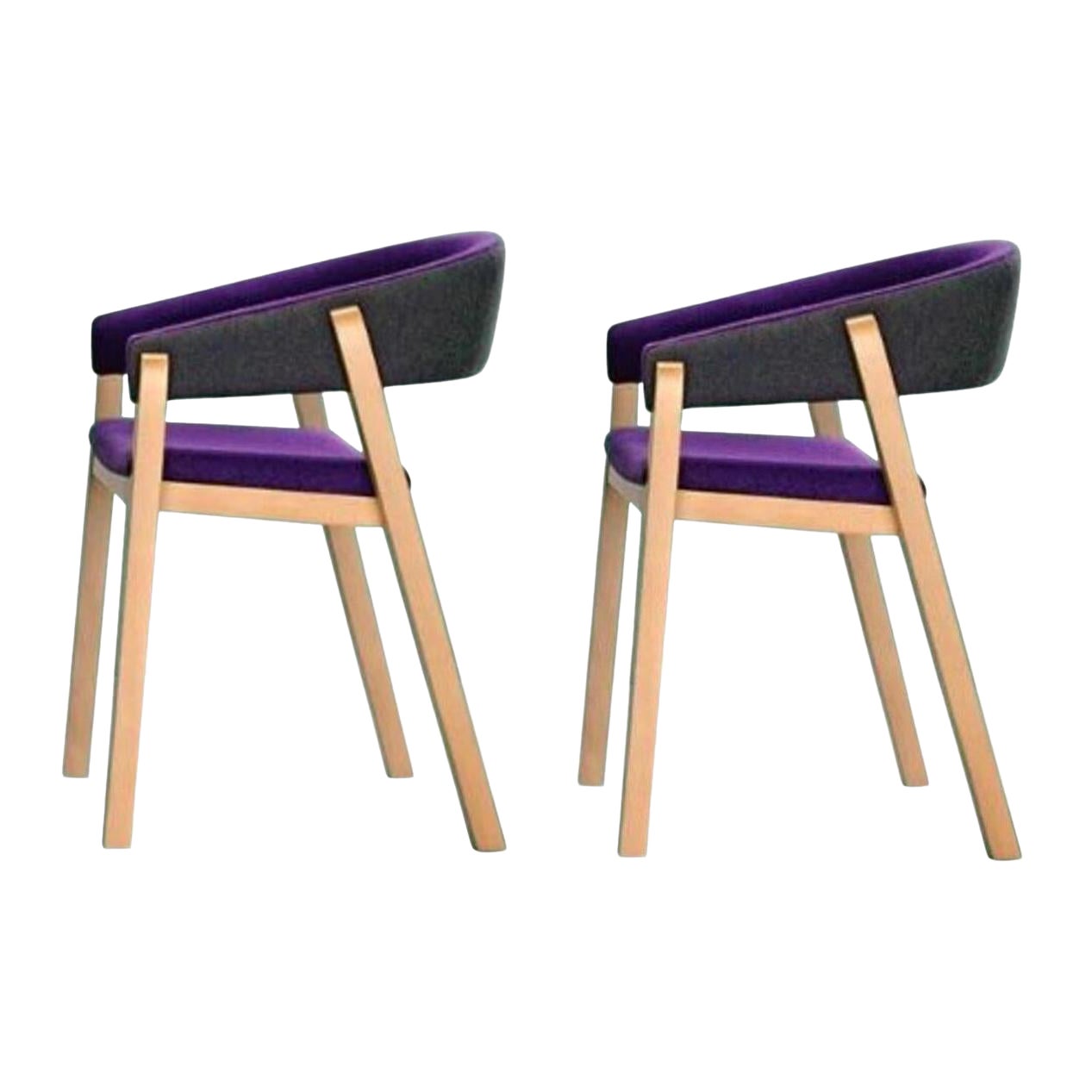 Ensemble de 2 fauteuils de salon Oslo par Pepe Albargues