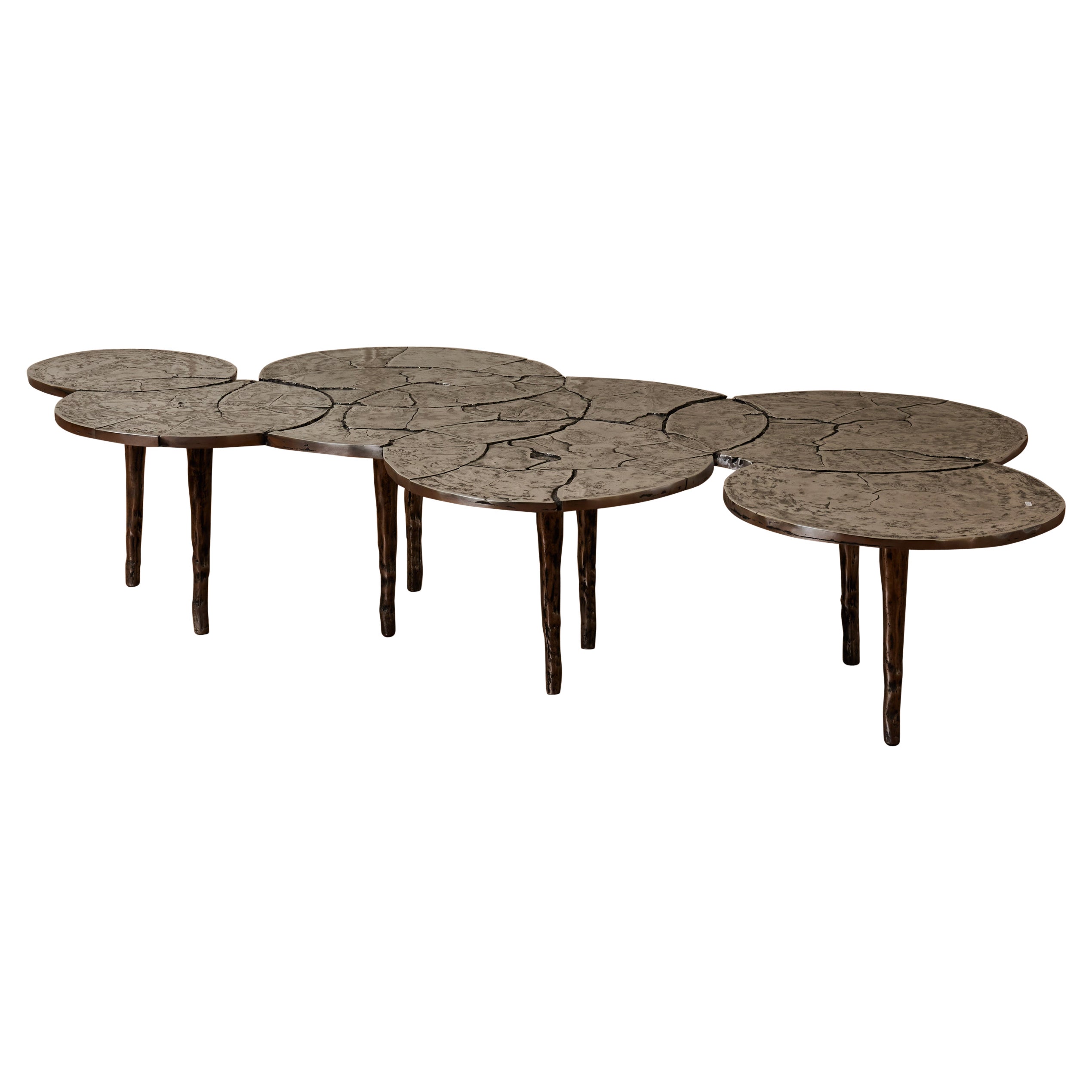 "8 Dry Drops" Coffee Table by Erwan Boulloud For Sale