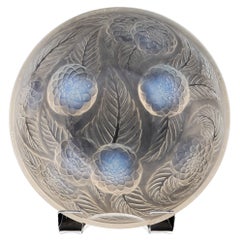 Antique Rene Lalique Dahlias Bowl Designed 1921 Marcilhac 3210