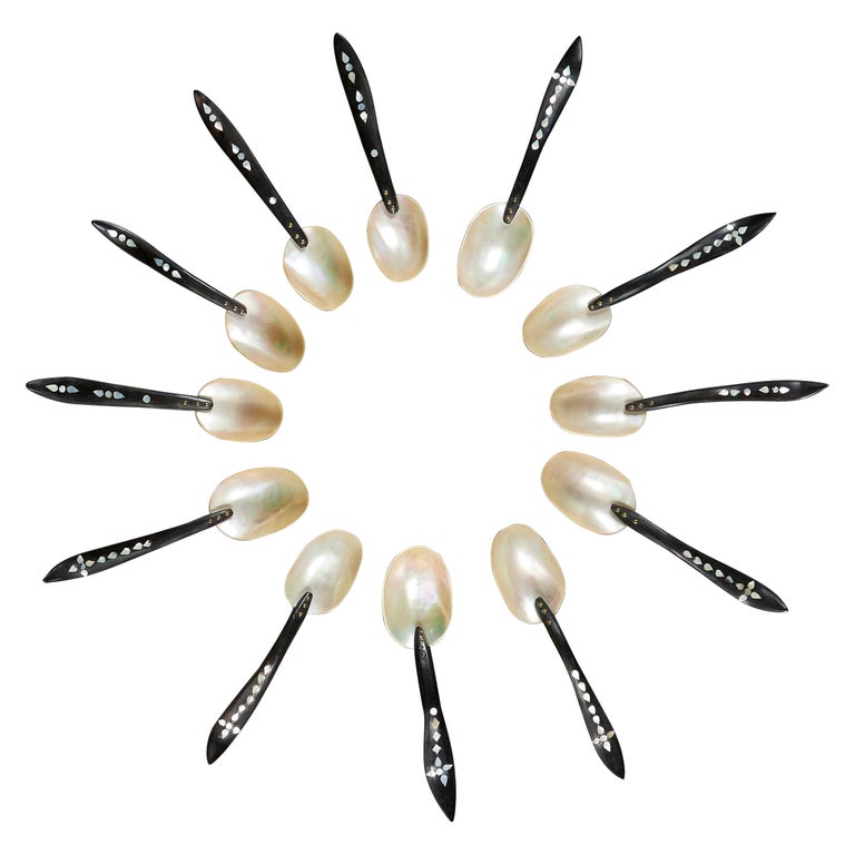 Set of Twelve Mother of Pearl Spoons For Sale at 1stDibs