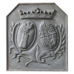 Respaldo / Revestimiento de chimenea francés estilo Luis XIV "Armas de Francia