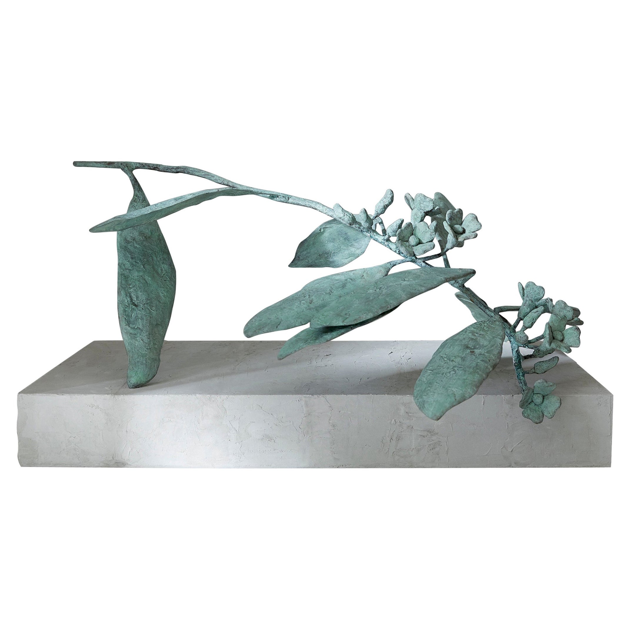 Sculpture d'Euphorbia 02 d'Herma de Wit
