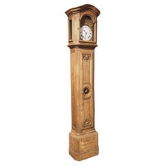 Antique Bleached Oak Horloge De Parquet Clock Case from Liege, Belgium, circa 1870