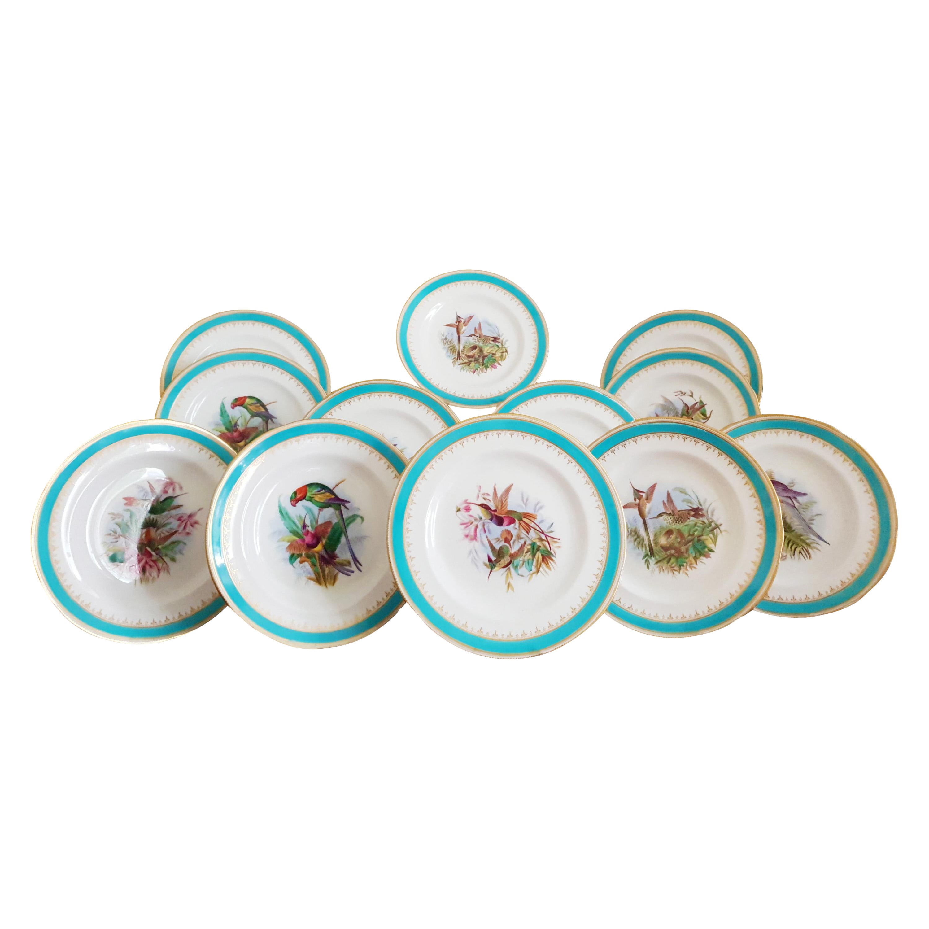 Minton Hand Painted Dinner Plates with Humming Birds and Parrots For Sale