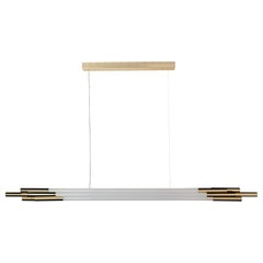 Medium Horizontal Org Pendant Lamp by Sebastian Summa