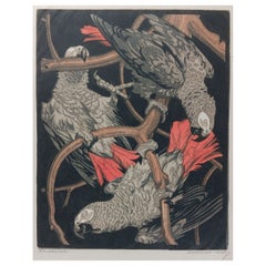 Norbertine Von Bresslern-Roth Gray Parrots Woodcut