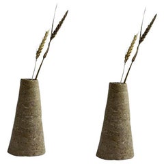 Set of 2 Alimenta Vase by Riccardo Cenedella